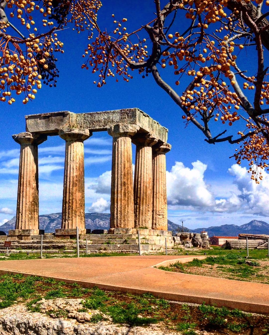 Ancient Greek temple ruins with weathered Doric columns standing against a brilliant blue sky with white clouds. Orange and yellow fruit tree branches frame the top of the image, while mountains are visible in the distance across the Mediterranean landscape.